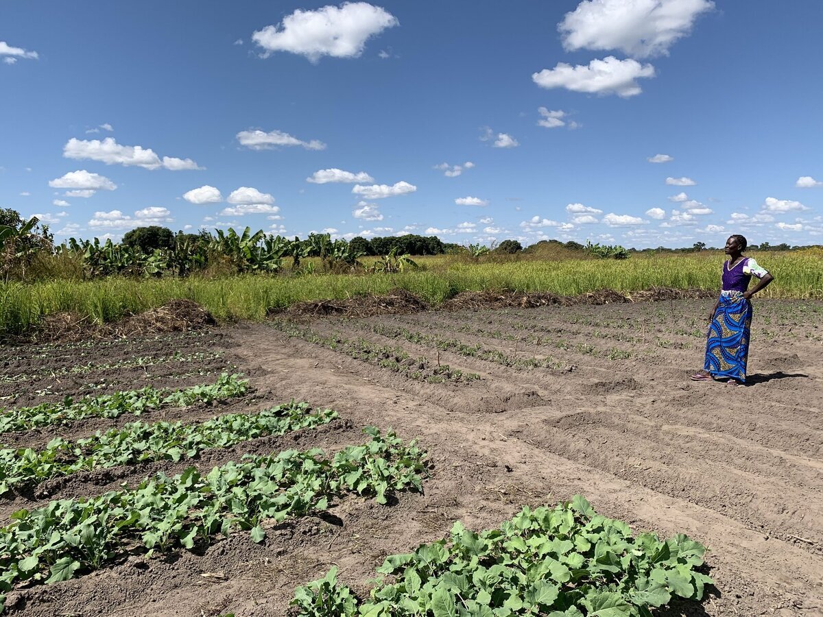 Zambia este una dintre țările puternic afectate de schimbările climatice