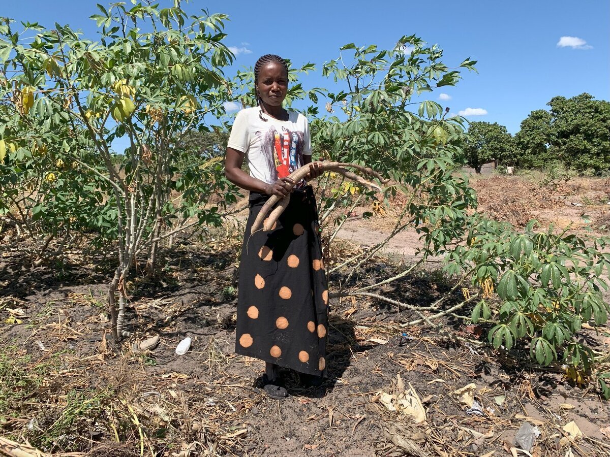 Zambia